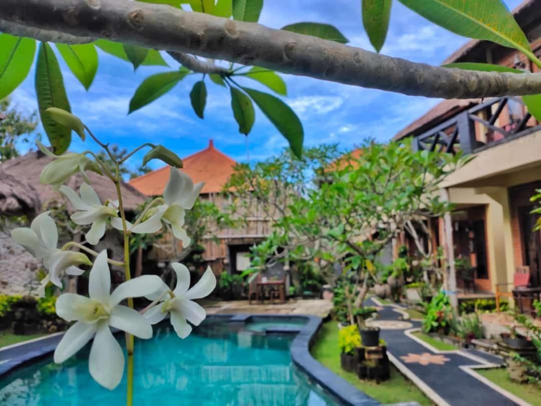 Satria Bungalow อูลูวาตู ภายนอก รูปภาพ